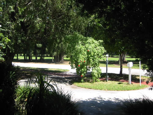 miami real estate & luxury miami beach real estate