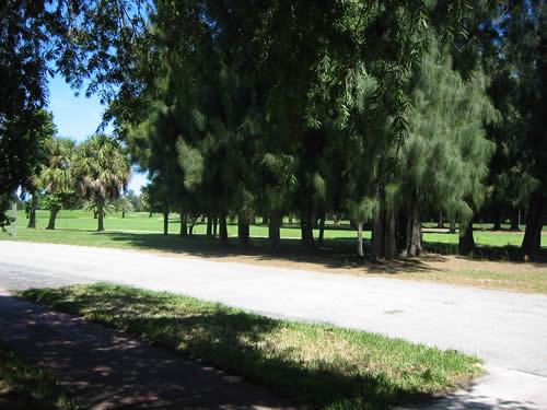 miami real estate & luxury miami beach real estate