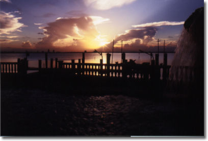 miami real estate & luxury miami beach real estate