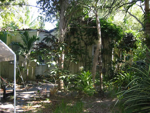 miami real estate & luxury miami beach real estate