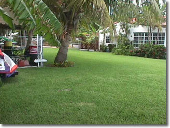 miami real estate & luxury miami beach real estate