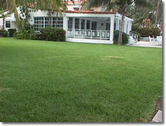 miami real estate & luxury miami beach real estate