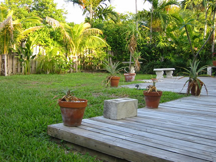 miami real estate & luxury miami beach real estate
