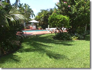 miami real estate & luxury miami beach real estate
